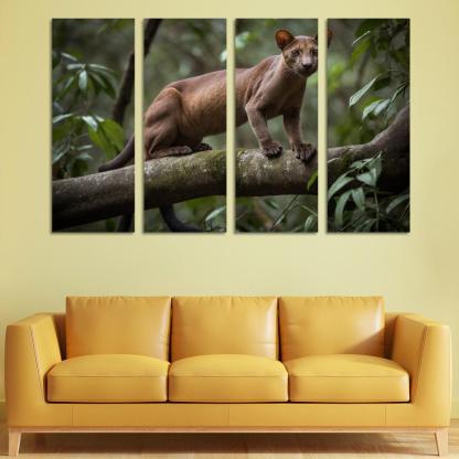 The Unique Fossa In Madagascar's Forests Framed Paintings