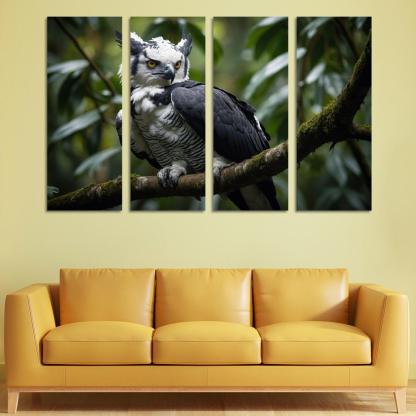 The Regal Harpy Eagle The Forest Monarch Custom Paintings Frame