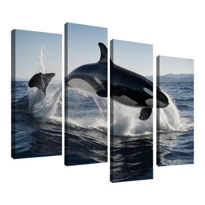 The Magnificent Orca In The Deep Ocean Framed Paintings