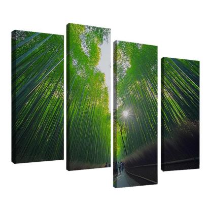 Bamboo Forest One-piece Frames