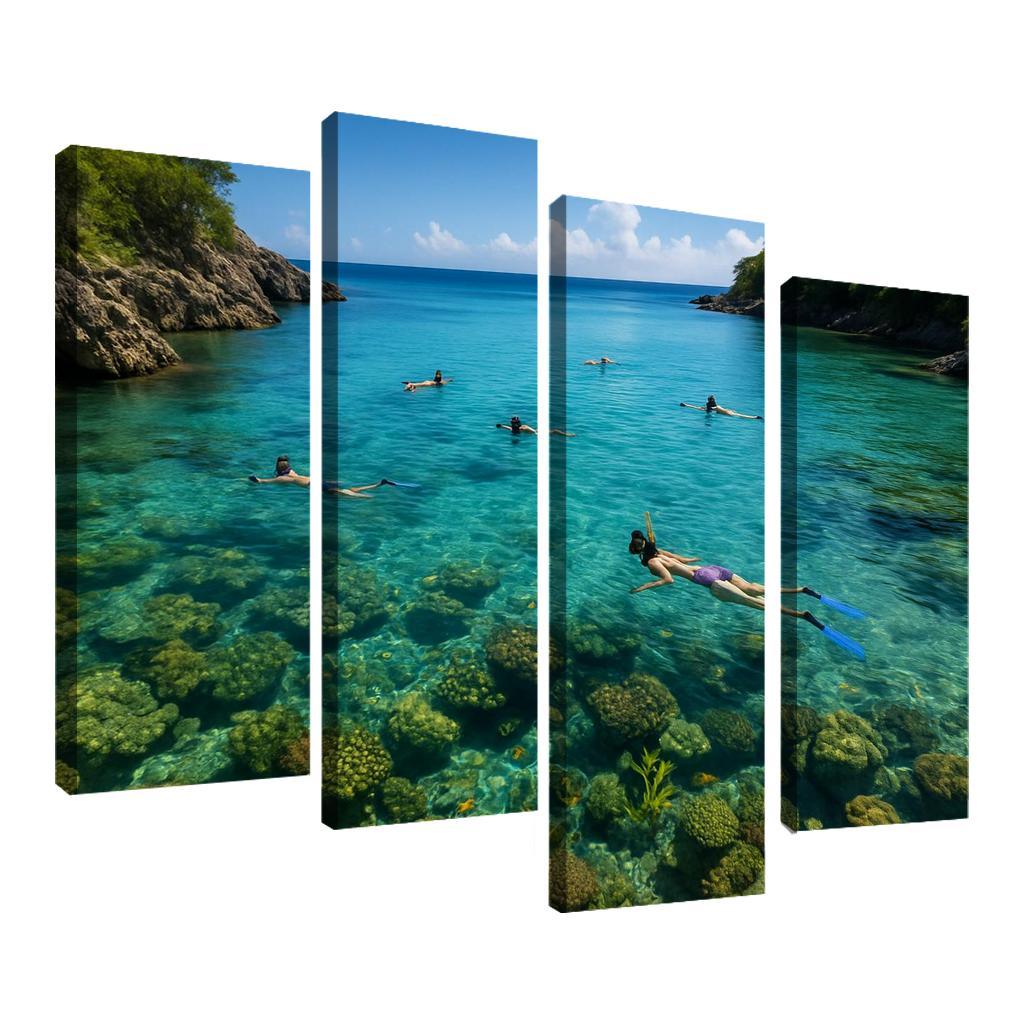 Crystal Bay Snorkeling Sanctuary Custom Paintings Frame