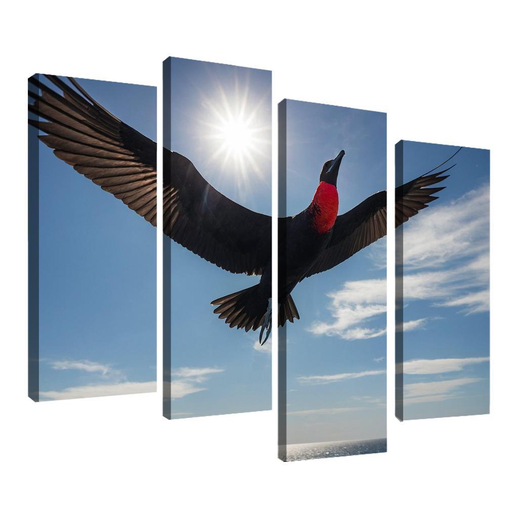 The Majestic Frigatebird The Master Of The Skies Framed Paintings