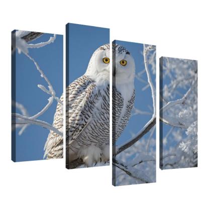 The Enchanting Snowy Owl In The Arctic Canvas Paintings Frame