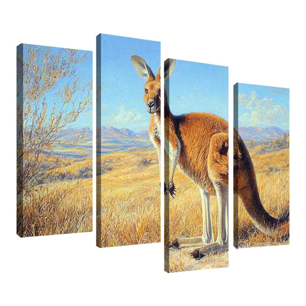 The Majestic Red Kangaroo The Australian Icon Art Trends