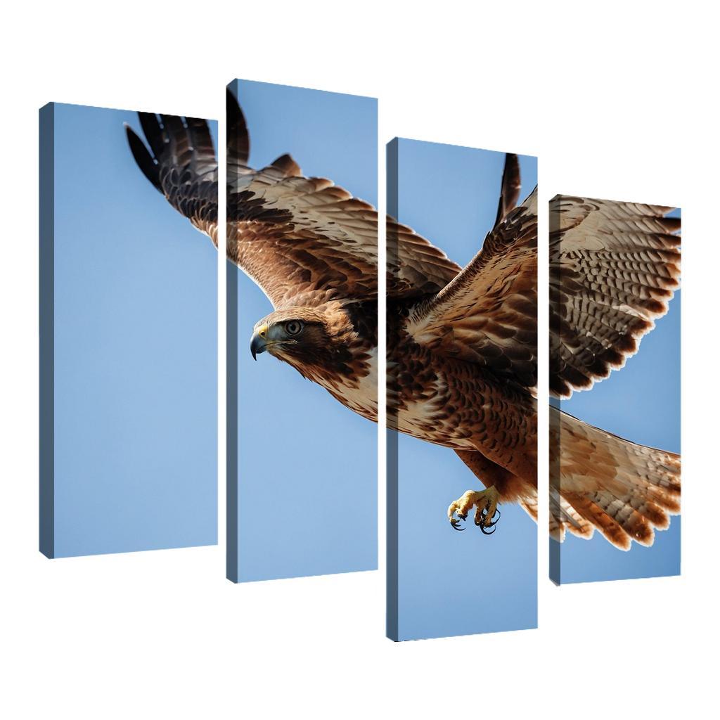 The Agile Red-tailed Hawk In Flight Framed Paintings