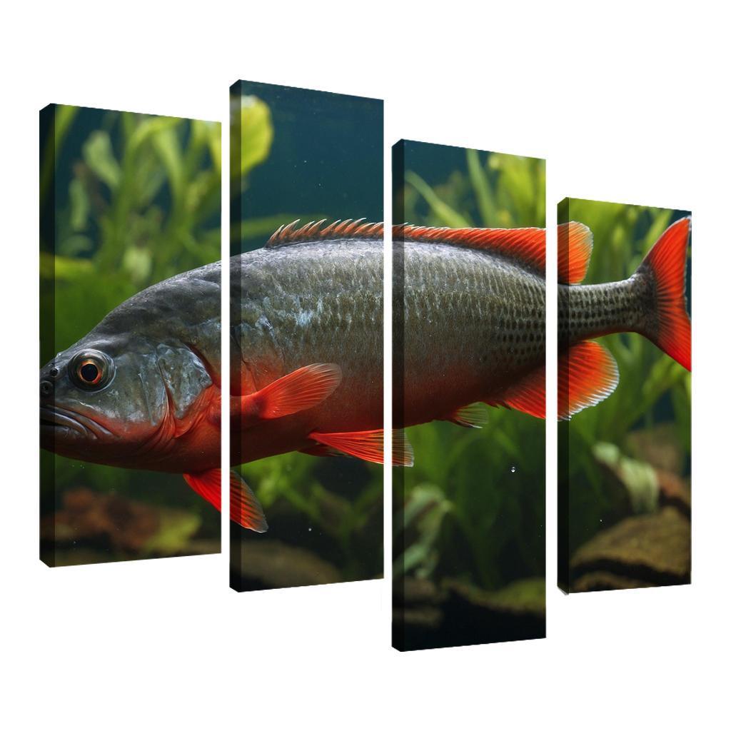 The Endearing Red-bellied Piranha In Freshwater Framed Paintings
