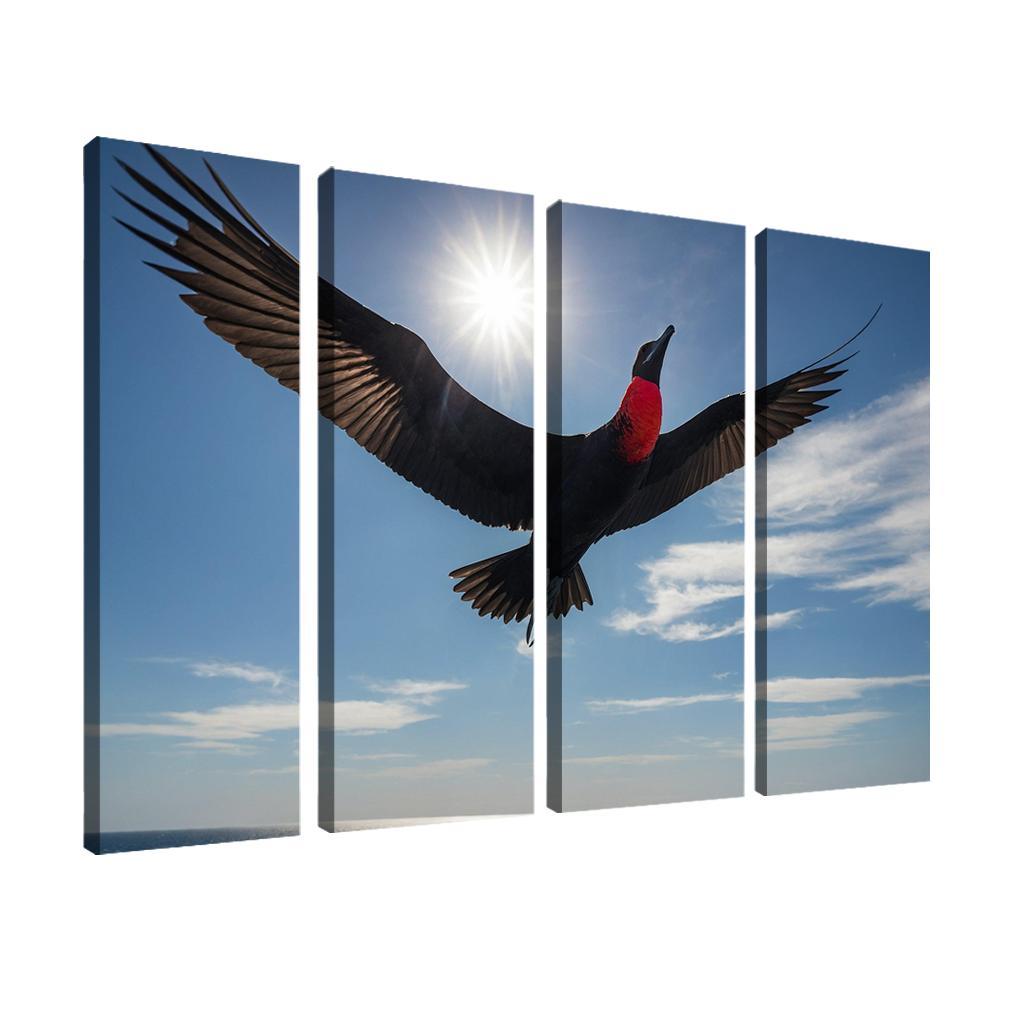 The Majestic Frigatebird The Master Of The Skies Framed Paintings