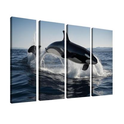 The Magnificent Orca In The Deep Ocean Framed Paintings