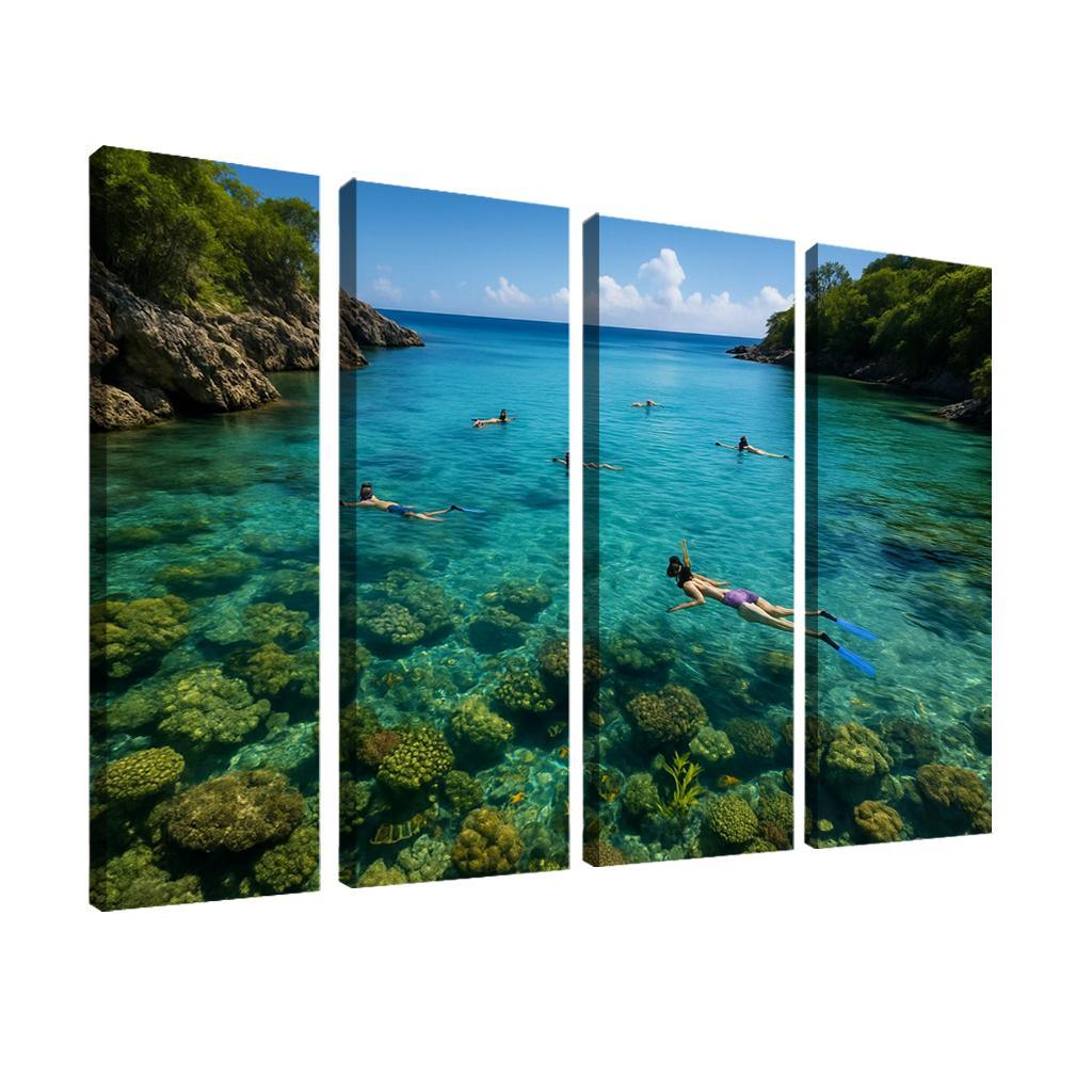 Crystal Bay Snorkeling Sanctuary Custom Paintings Frame