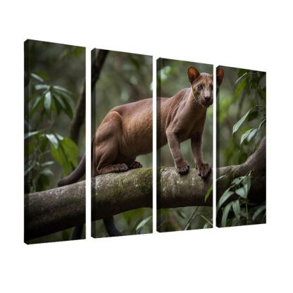 The Unique Fossa In Madagascar's Forests Framed Paintings