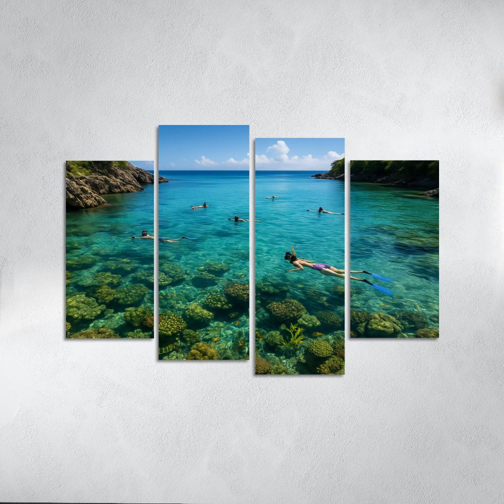 Crystal Bay Snorkeling Sanctuary Custom Paintings Frame