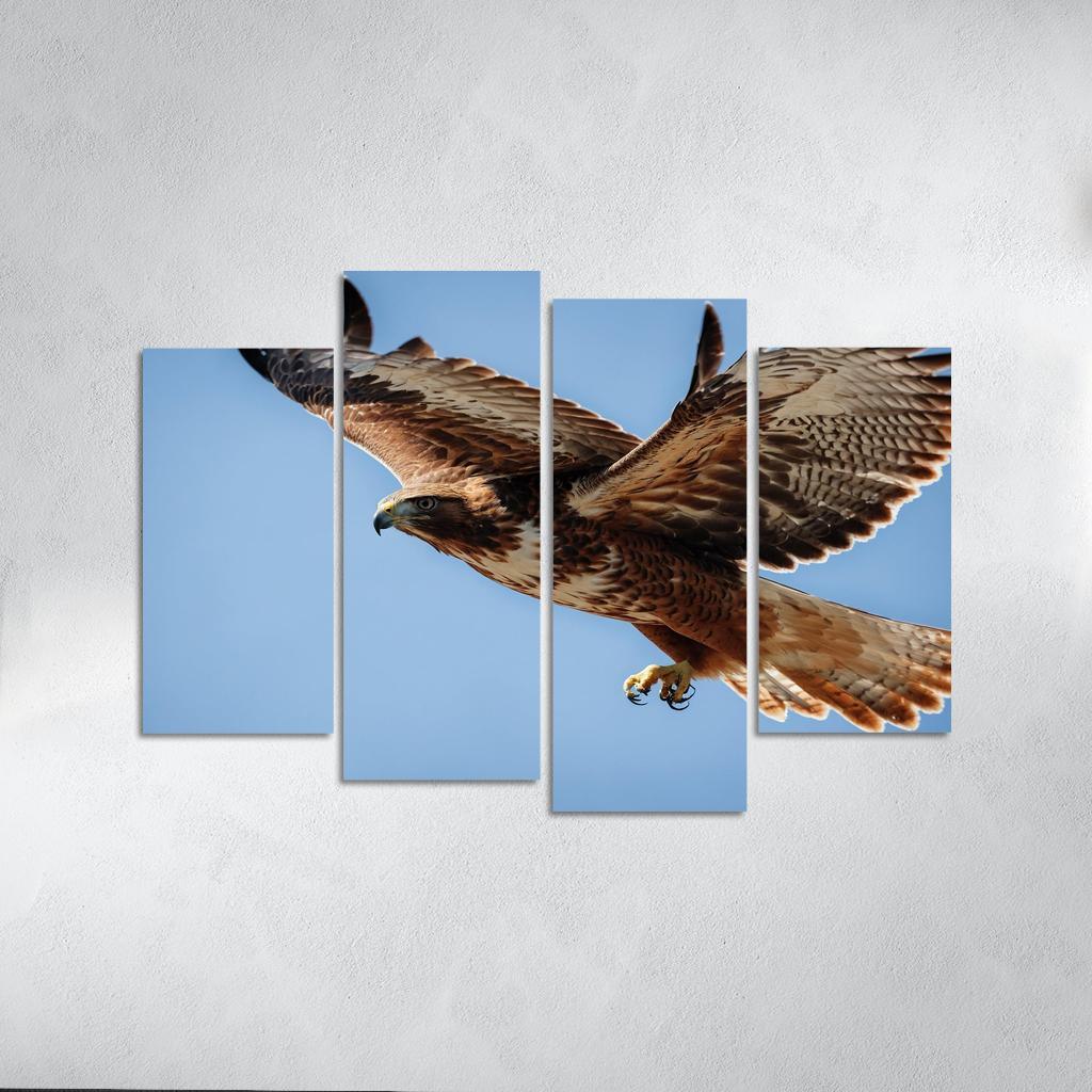 The Agile Red-tailed Hawk In Flight Framed Paintings