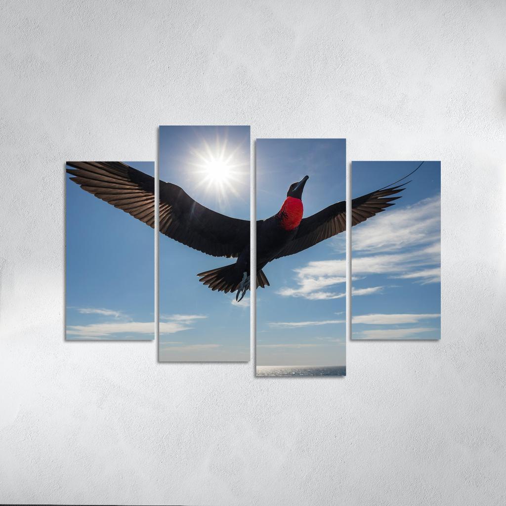 The Majestic Frigatebird The Master Of The Skies Framed Paintings