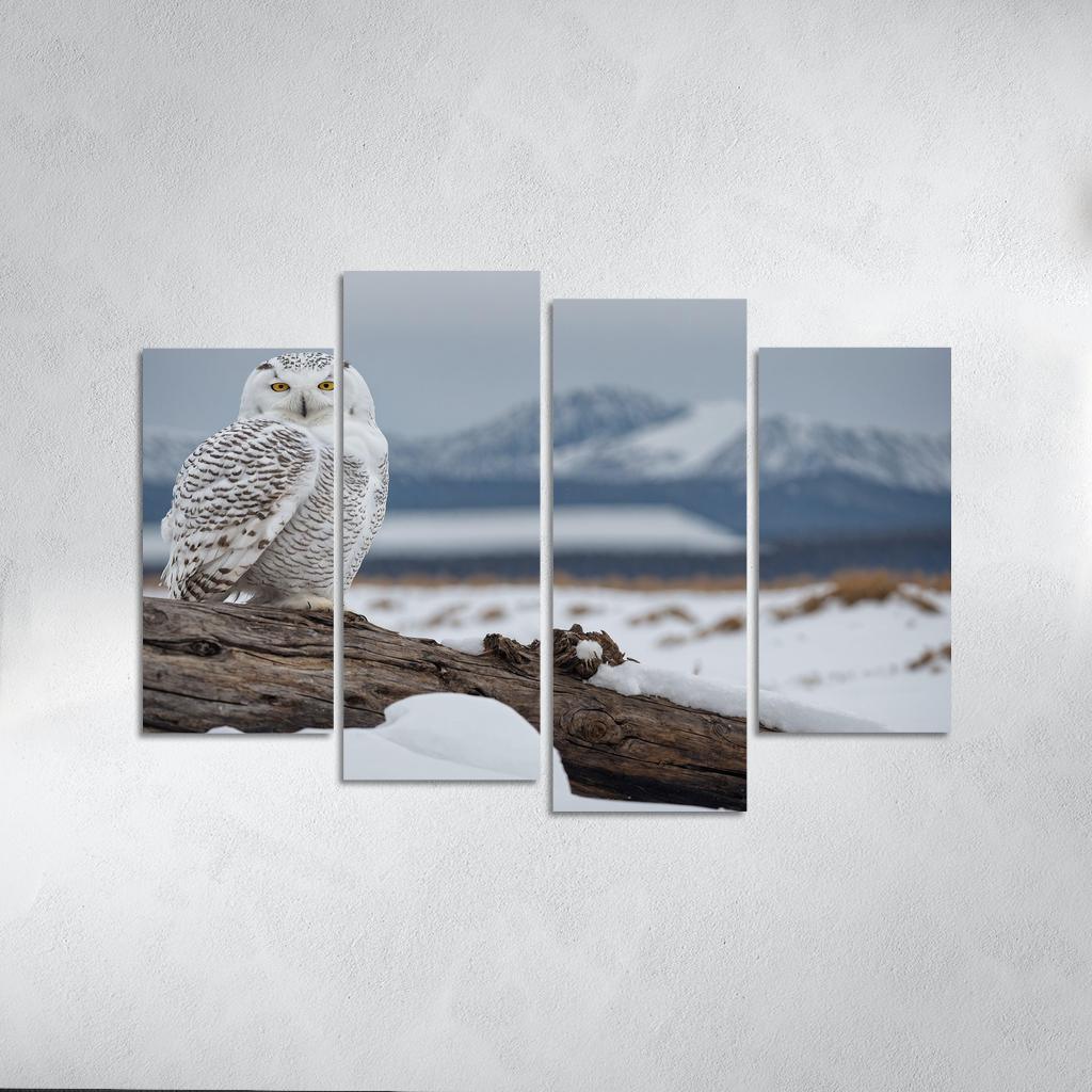 The Regal Snowy Owl Multi-panel Paintings