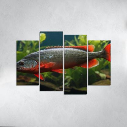 The Endearing Red-bellied Piranha In Freshwater Framed Paintings