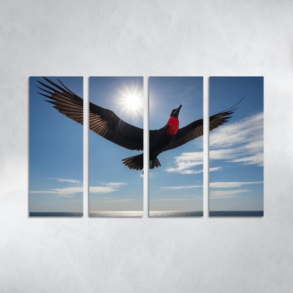 The Majestic Frigatebird The Master Of The Skies Framed Paintings
