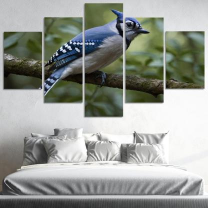 The Elegant Blue Jay In The Forest Framed Paintings
