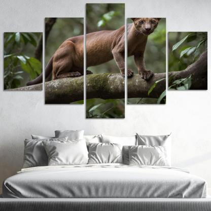 The Unique Fossa In Madagascar's Forests Framed Paintings
