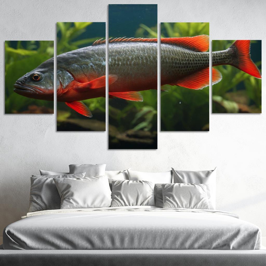 The Endearing Red-bellied Piranha In Freshwater Framed Paintings