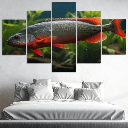 The Endearing Red-bellied Piranha In Freshwater Framed Paintings