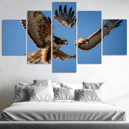 The Graceful Red-tailed Hawk Icon Of The Open Sky Modern Paintings Frame