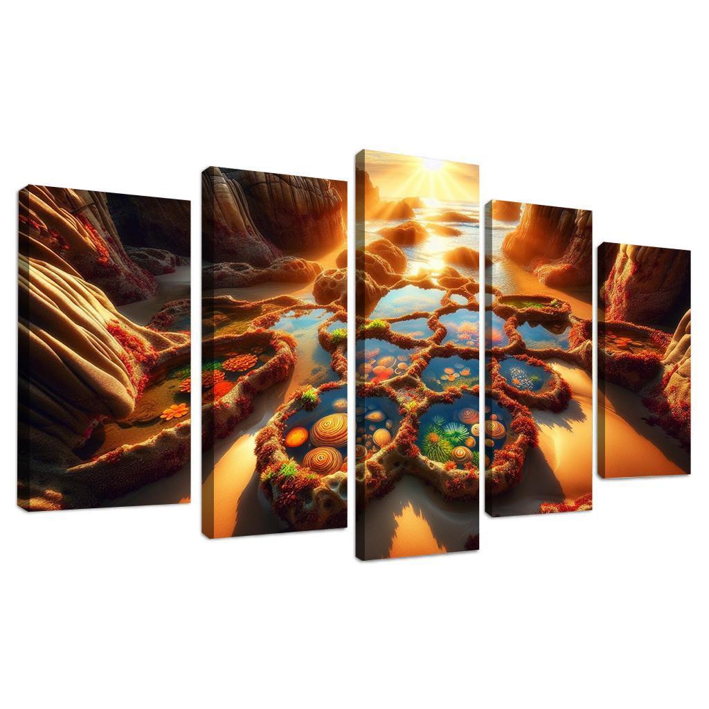 Tidal Pool Treasure Cove Modern Paintings Frame