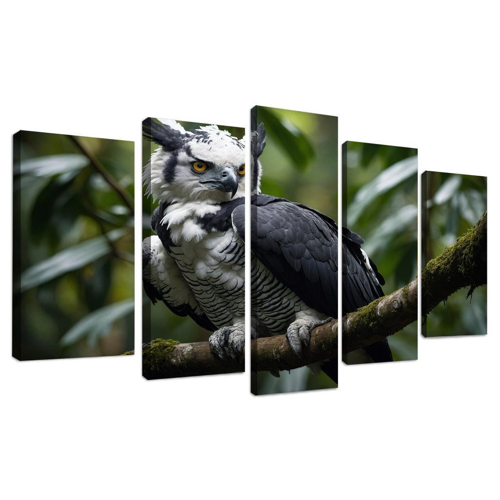 The Regal Harpy Eagle The Forest Monarch Custom Paintings Frame