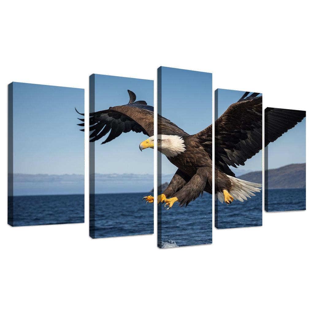 The Majestic Steller's Sea Eagle By The Sea Framed Paintings