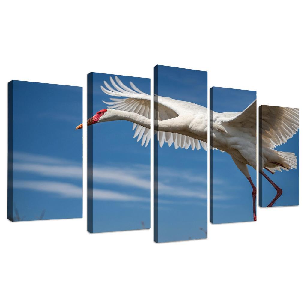 The Majestic Siberian Crane Harbingers Of Change Canvas Paintings Frame