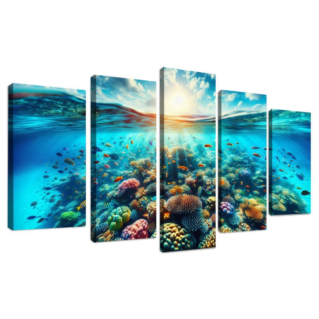 Coral Bay Snorkeling And Marine Conservation Modern Paintings Frame