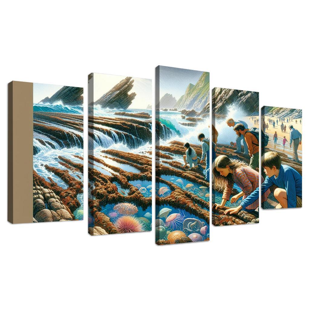 Tidepool Discovery Beach Custom Paintings Frame