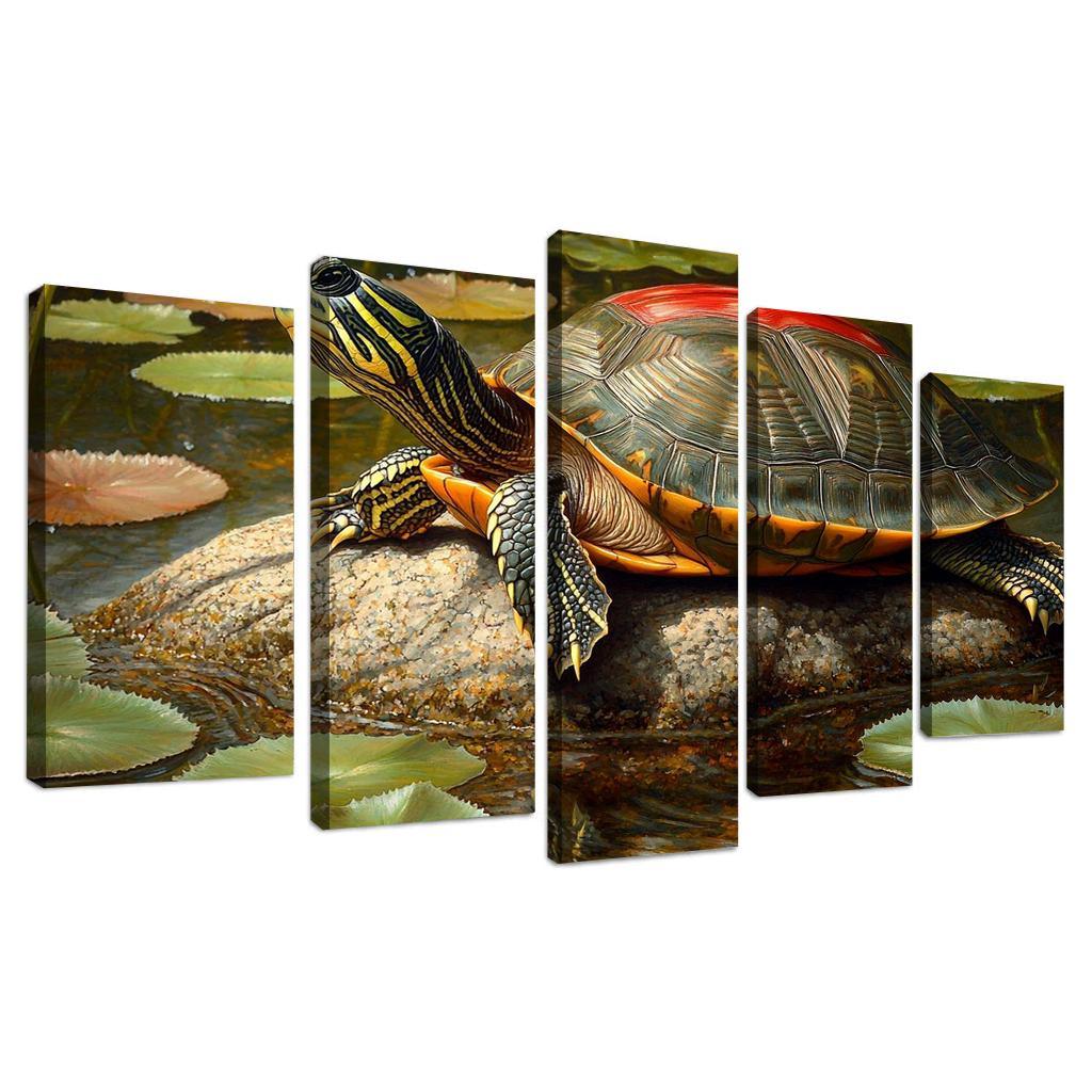 The Majestic Red-eared Slider The Freshwater Delight Art Trends