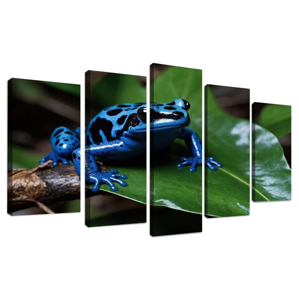 The Spectacular Blue Poison Dart Frog Jewel Of The Rainforest Modern Paintings Frame