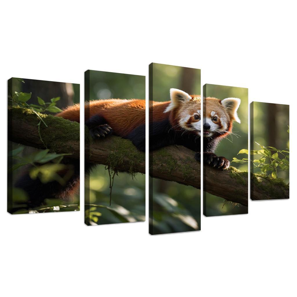 The Enigmatic Red Panda The Forest Dweller Framed Paintings