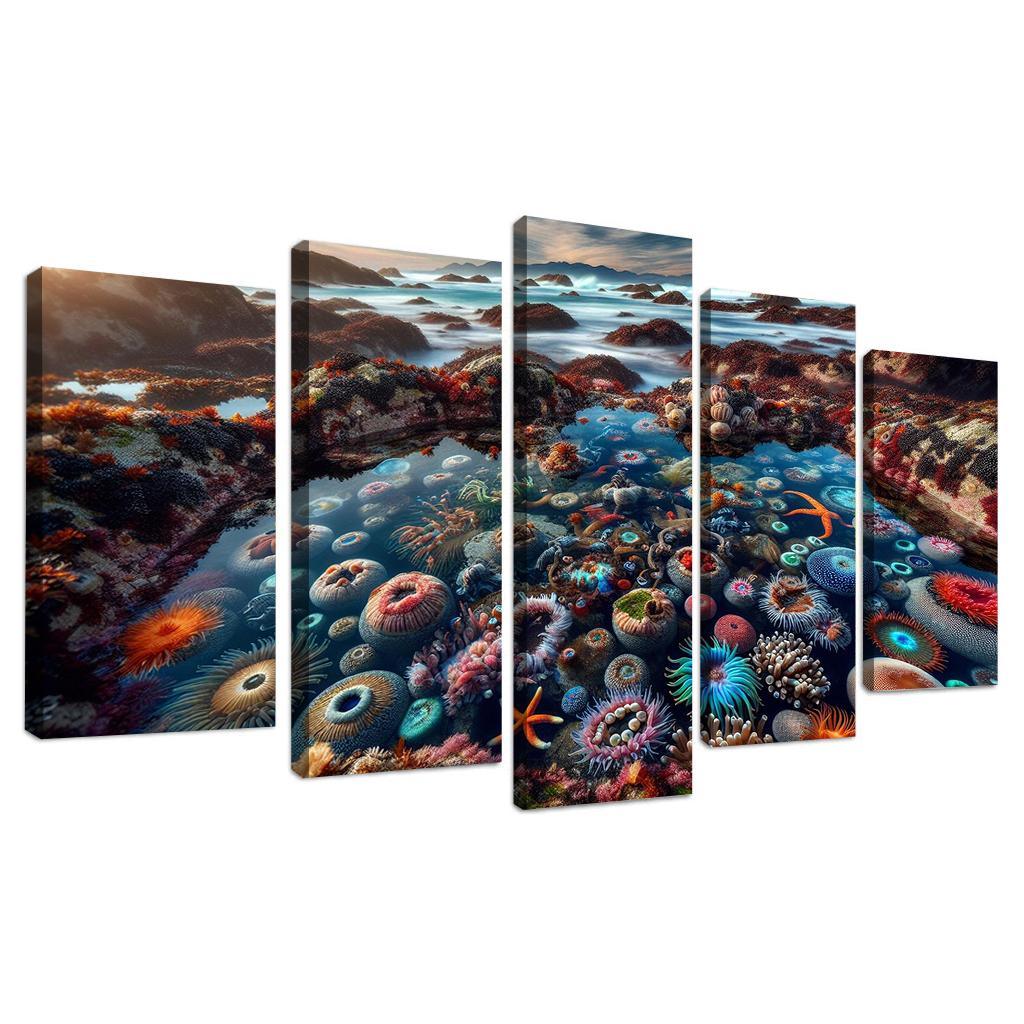 Tidal Pool Haven Nature's Aquatic Wonders Abstract Paintings Frame