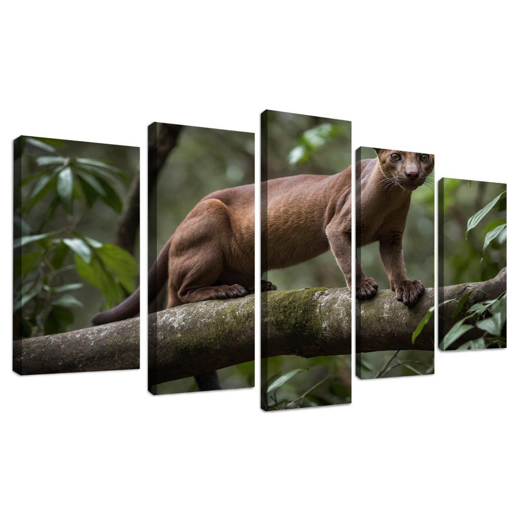 The Unique Fossa In Madagascar's Forests Framed Paintings
