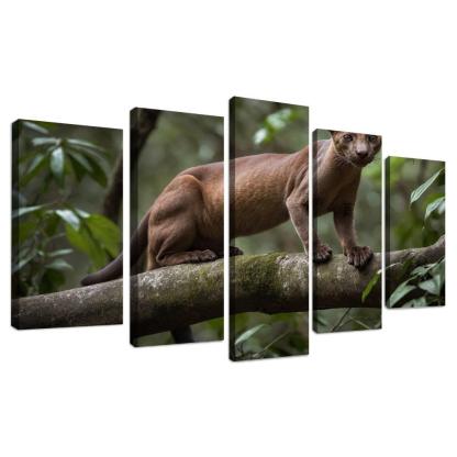 The Unique Fossa In Madagascar's Forests Framed Paintings