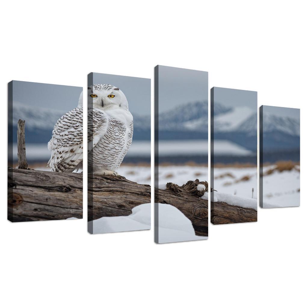 The Regal Snowy Owl Multi-panel Paintings