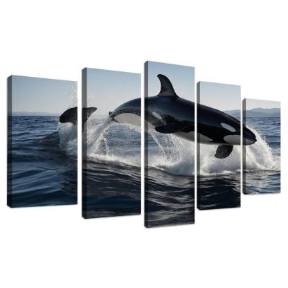 The Magnificent Orca In The Deep Ocean Framed Paintings