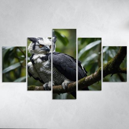 The Regal Harpy Eagle The Forest Monarch Custom Paintings Frame