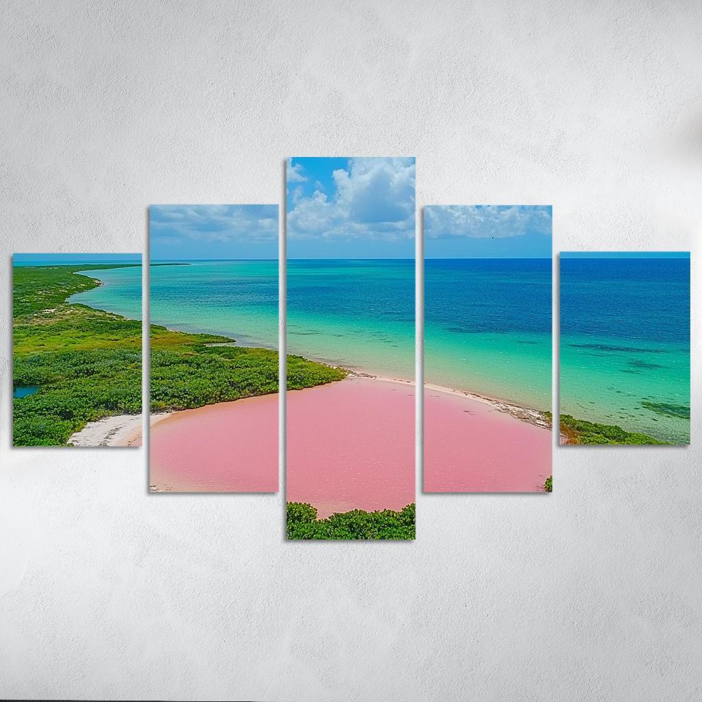 Lake Hillier Abstract Paintings Frame