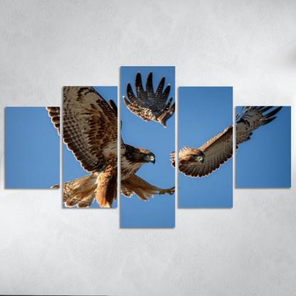 The Graceful Red-tailed Hawk Icon Of The Open Sky Modern Paintings Frame