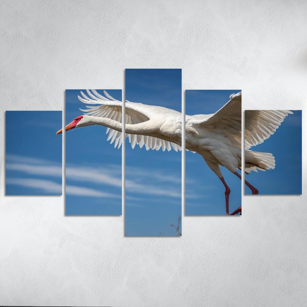 The Majestic Siberian Crane Harbingers Of Change Canvas Paintings Frame