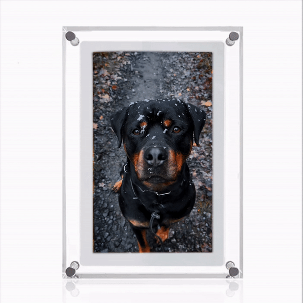 Digital Media Display Frame-Original Frame