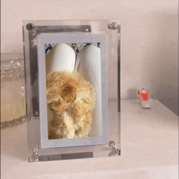 Digital Media Display Frame-Original Frame
