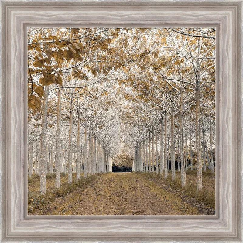 White Gold Forest Picture Print with Frame-Original Frame
