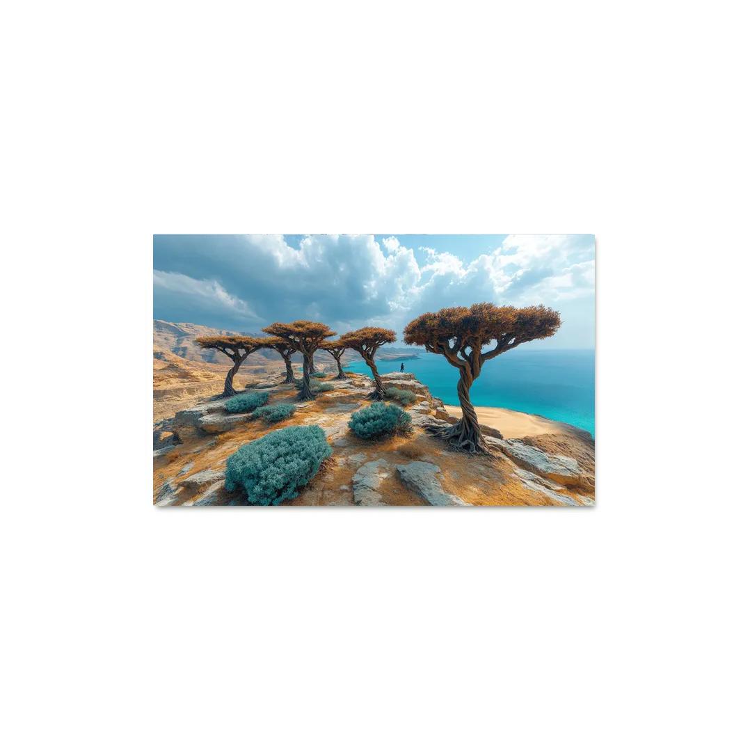 Socotra Dragon Blood Forest one-piece frames