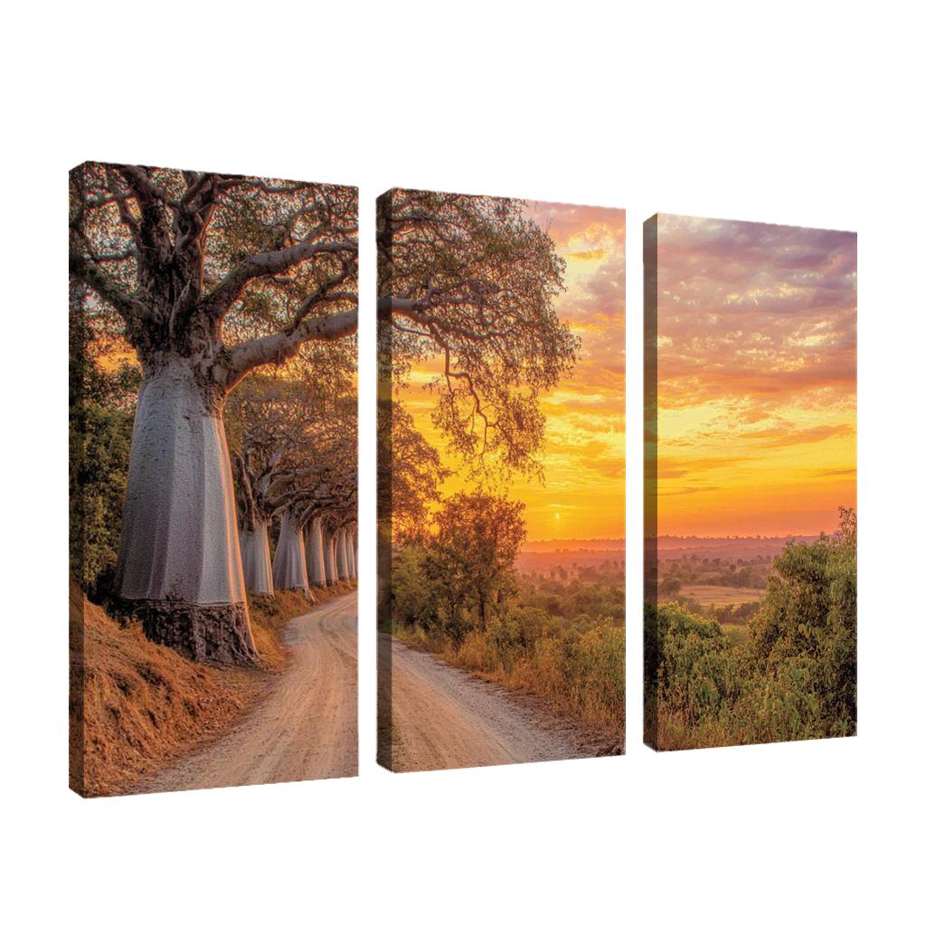 Avenue Of The Baobabs abstract paintings frame