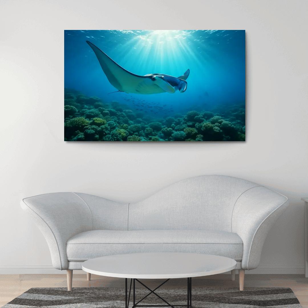 Blue Finned Manta Ray Over Coral Gardens wall art