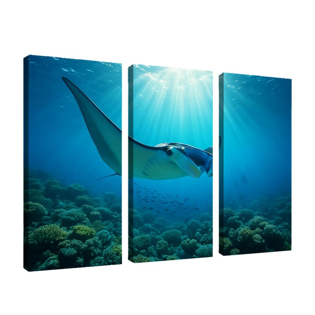 Blue Finned Manta Ray Over Coral Gardens wall art